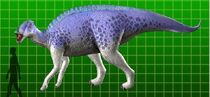 Brachylophosaurus