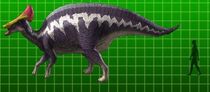 Olorotitan