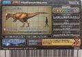 Back of Pachycephalosaurus arcade Fossil card (Japanese Kakushin 6th Edition Hyper Battle Musuem))