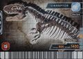 Sinraptor arcade Fossil card (English S2 4th Edition)