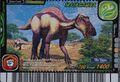 Maiasaura Card 3
