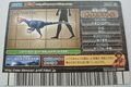 Back of Egg Attack (Oviraptor fossil) arcade Fossil card (Japanese convention promo)