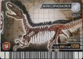 Monolophosaurus arcade Fossil card (English Series 2 3rd Edition)