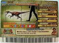 Back of Critical Block arcade card (Japanese 2007 2nd Edition)