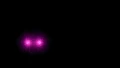 Glowing eyes.gif (2.63 MB)