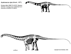 あばとさ Apatosaurus | Dinosaur King | Fandom