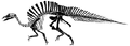 Ouranosaurus skeleton