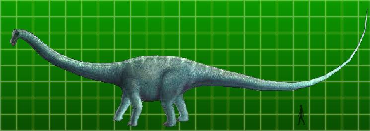 Early size estimates suggested this dinosaur was far longer than recent rev...