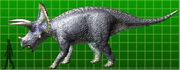 Triceratops