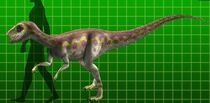 Leaellynasaura