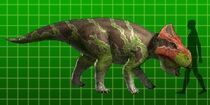 Udanoceratops