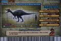 Back of Irritator arcade card (English Series 2 4th Edition)