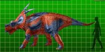 Achelousaurus