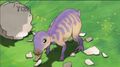 Baby Maiasaura