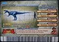 Back of Ceratosaurus arcade card (English S2 2nd Edition)