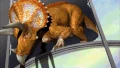 Chomp is to weakened to drag