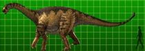 Shunosaurus