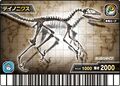 Deinonychus fossil card (Japanese Kakushin 6th Editon Hyper Battle Museum)