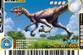 Utahraptor arcade card (Taiwanese 2008 Special Edition), this card has shown its rarity error