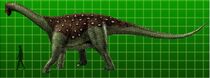 Saltasaurus