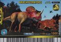Brachyceratops Card Eng S2 2nd