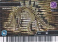Tuojiangosaurus arcade Fossil card (Japanese Gekizan 3rd Edition)