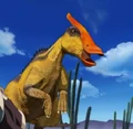 Orange-crested Saurolophus looking for Zander's bag