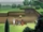 Max's House