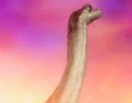 Wild Saltasaurus 1.jpg (41 KB) Wild Saltasaurus from Alien Parent Trap