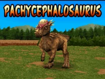 Pachycephalosaurus DS battle intro