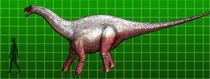 full-sized Nemegtosaurus