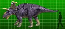 Albertaceratops