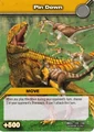 Pin Down TCG card (DKCG)