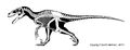 Utahraptor skeleton