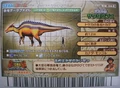 Japanese 2007 2nd Edition (back)