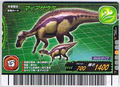 Maiasaura Card 4