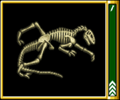 Wind Dinosaur Fossil