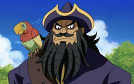 Blackbeard profile