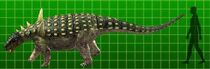 Sauropelta