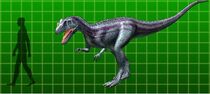 Ceratosaurus