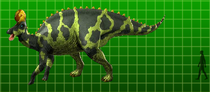 Lambeosaurus magnicristatus