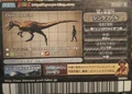 Back of Sinraptor arcade Fossil card (Japanese 2007 4th/4th+ Edition)