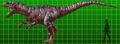 full-sized Allosaurus atrox