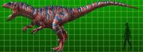 Allosaurus atrox