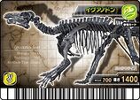 Iguanodon KS011-竜