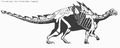 Gastonia skeleton.gif (17 KB) Gastonia skeleton