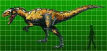 full-sized Sinraptor