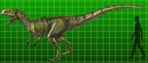 Neovenator