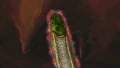 Red Cosmos Stone in the cave's pond he swallowed 3.gif (7.34 MB)