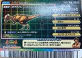 Japanese 2007 2nd Edition (back)